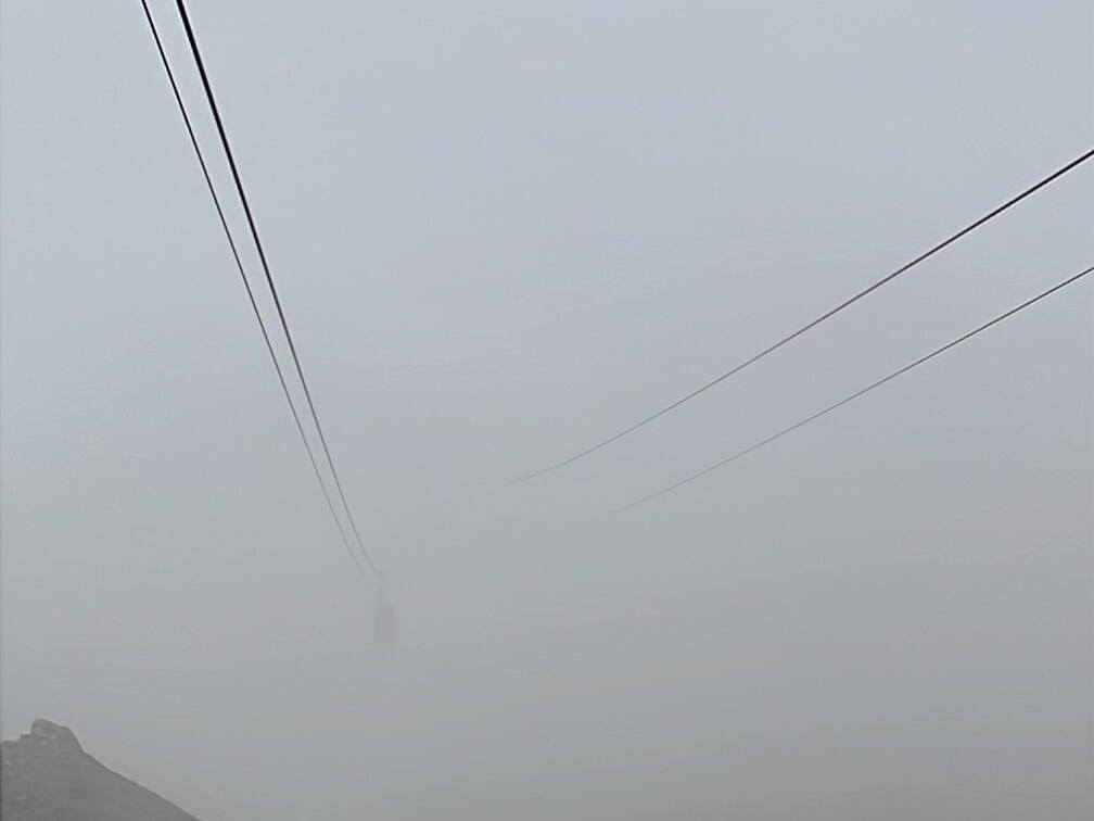 D9C696E8-34D7-4361-8754-D9B58655FD56